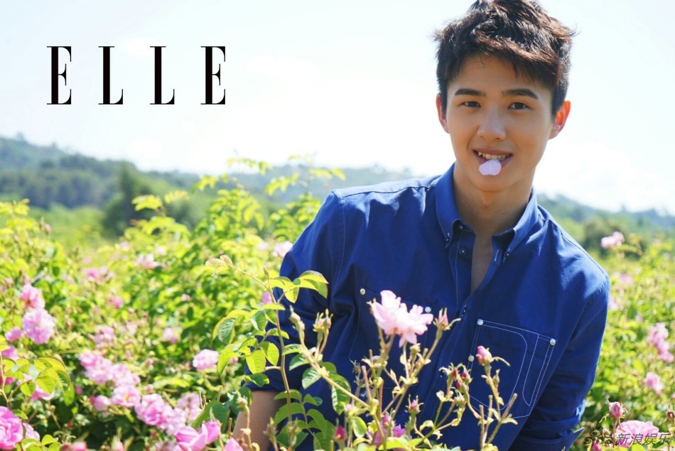 刘昊然现身南法花田 阳光帅气沁人心脾