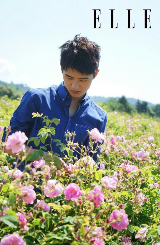 刘昊然现身南法花田 阳光帅气沁人心脾