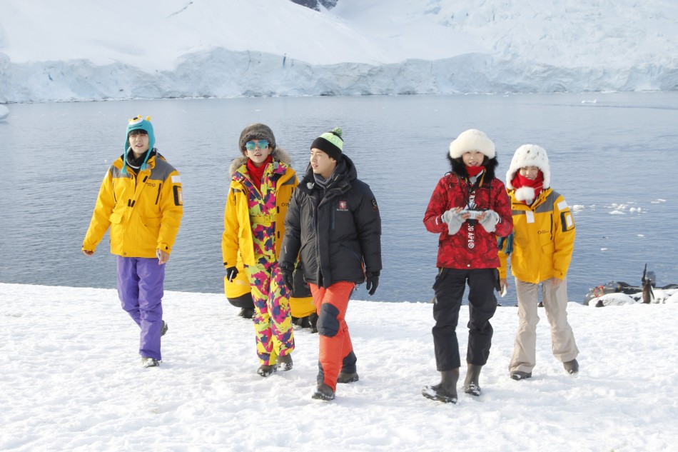 爱丽丝梦游仙境2主题曲mv讲的什么意思 Pink献