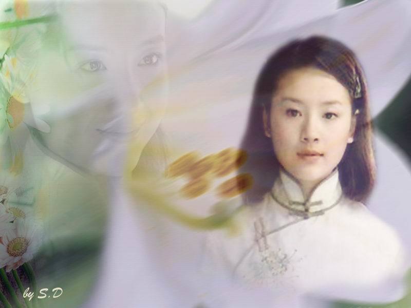 金燕西为何负了冷清秋图片