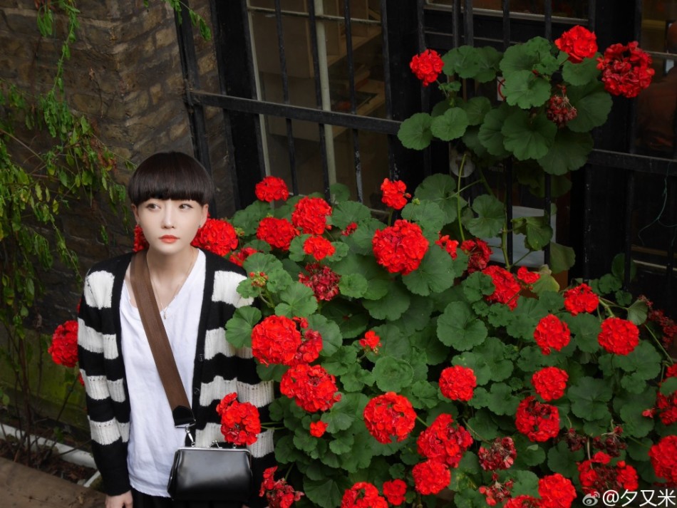 里皮新闻发布会