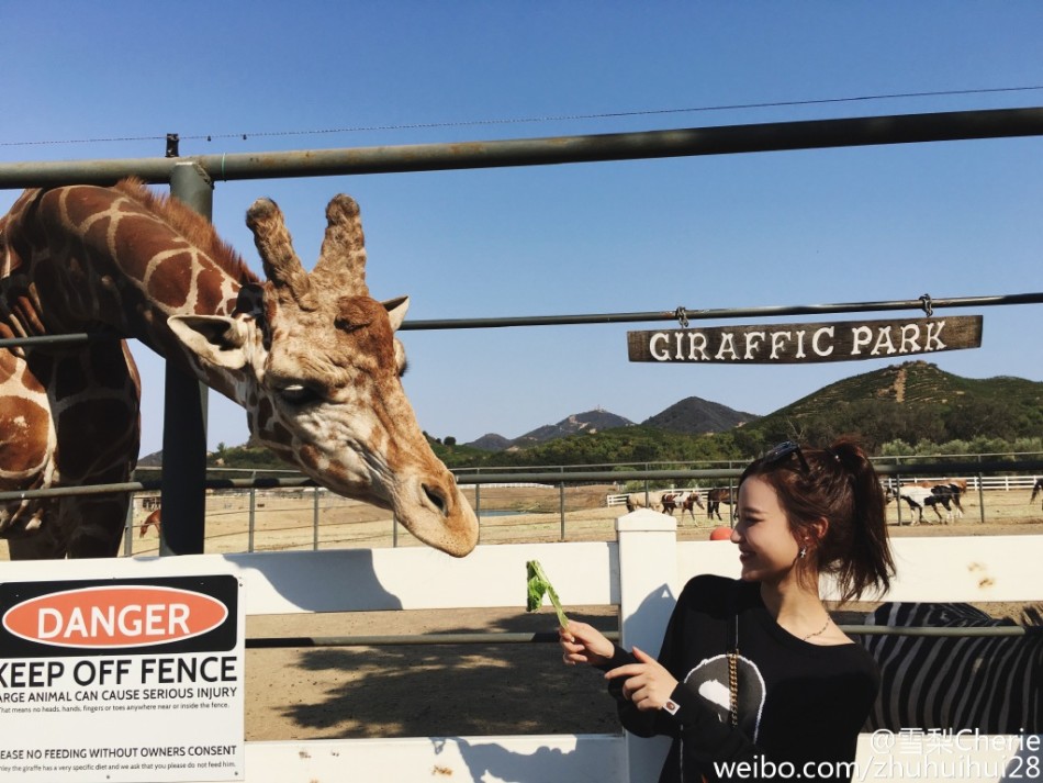 lol中国梦之队-乐鱼app(leyu)官方网站-乐鱼官网