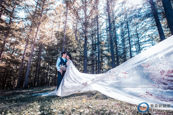 树林婚纱_婚纱海报树林素材