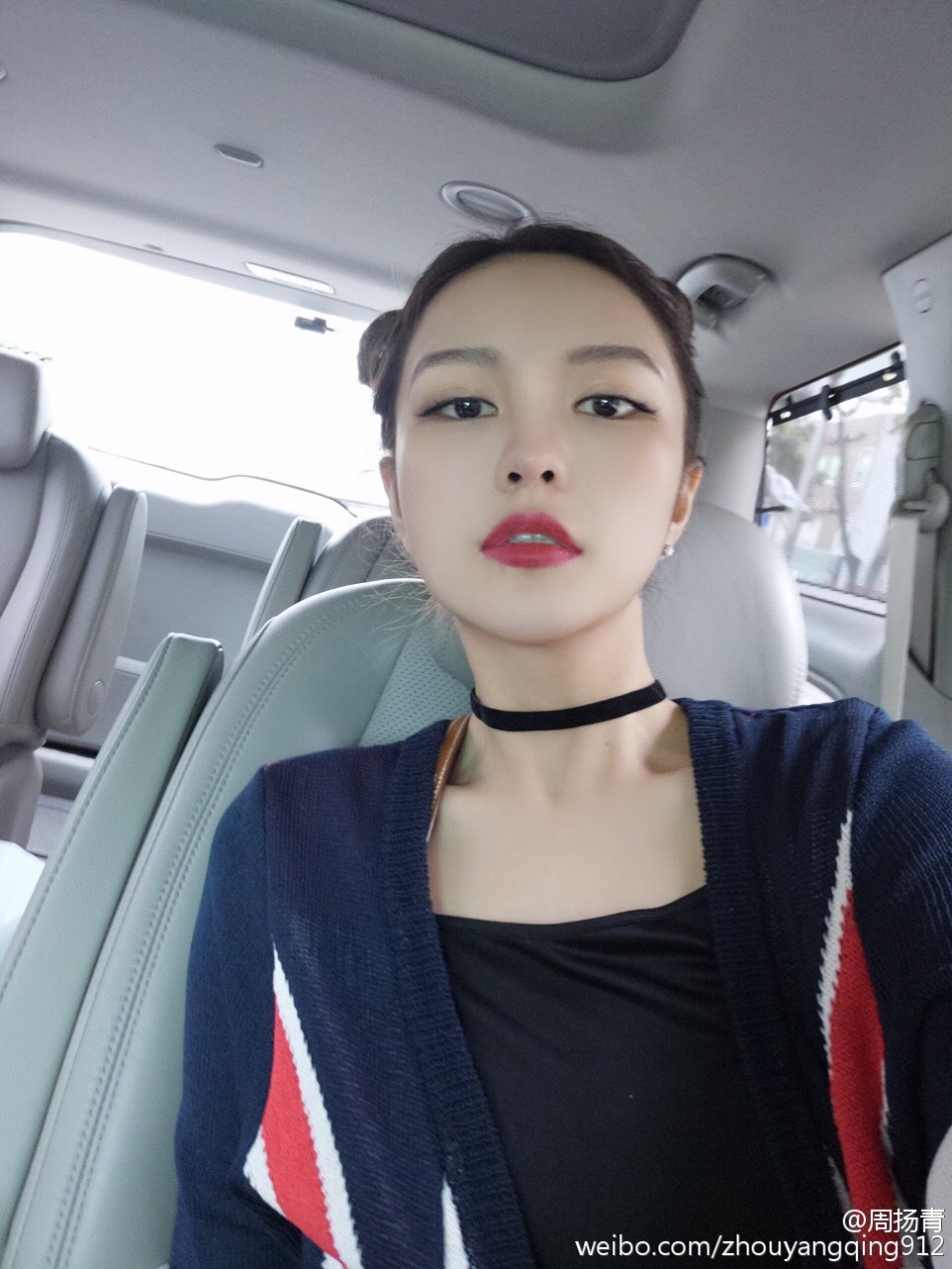 法布雷加斯转会