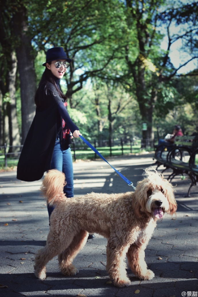 组图:景甜晒纽约公园遛狗美照 比V卖萌好清新_内地星闻_大众网