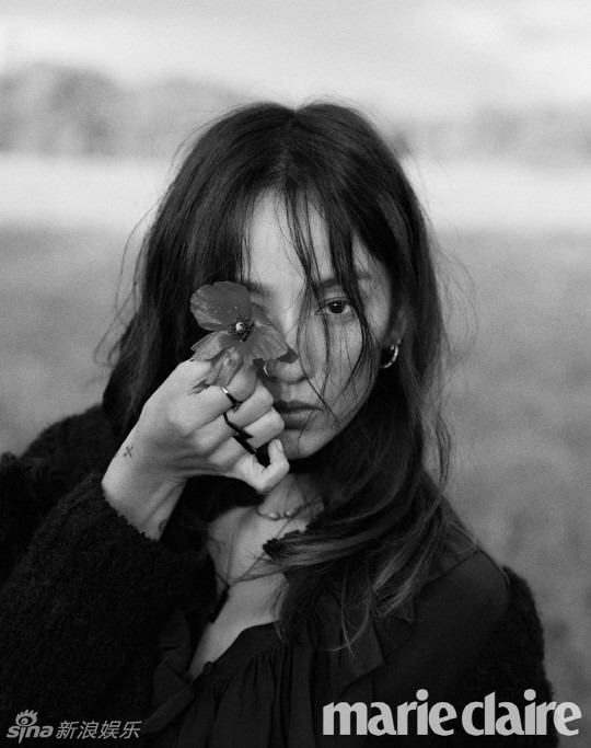 自由的图片 洒脱 704_2042320_740940.jpg