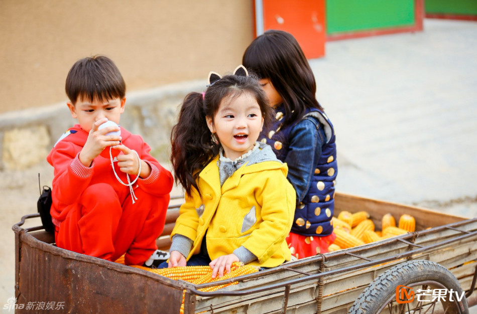 弗格森宣布退休-万博体育(官网)官方网站-万博体育app官网下载-ManBetX