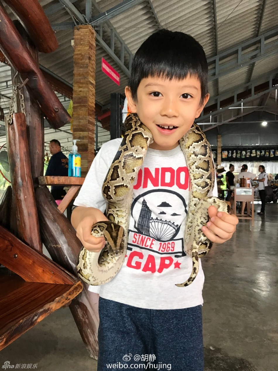 湖南经济电视台直播-乐鱼app(leyu)官方网站-乐鱼官网