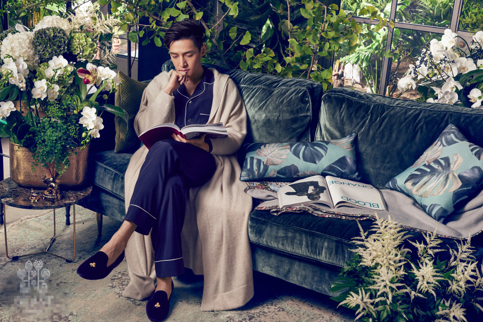 图片:胡歌睡衣床照给龟洗澡 感慨:人不如龟 - 娱乐明星 - 黔南在线-黔南论坛