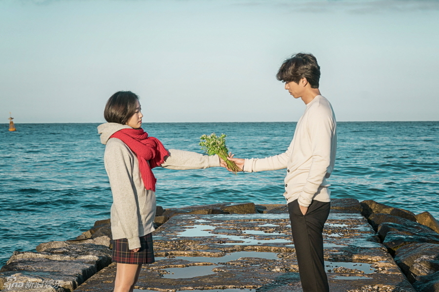 韩剧《鬼怪》中鬼怪送给恩卓的就是荞麦花