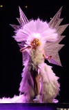 Lady GagaѲݳ߶ٿ
