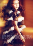 Angelababy־ع