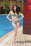 2011中华小姐泳装外景拍摄