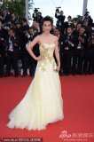 李冰冰戛纳走秀 长裙华丽刺绣精致