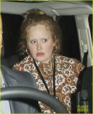 阿黛尔素颜看gaga演出