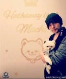 周杰伦抱着爱犬