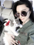 范冰冰与猫咪