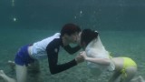 魏大勋李沁水下拥吻浪漫唯美