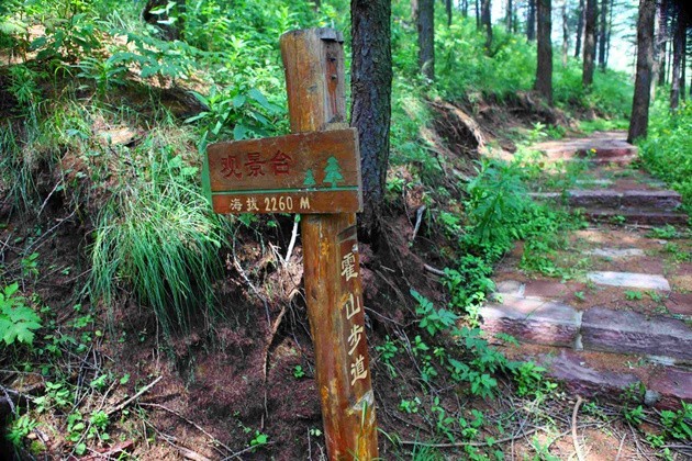 霍山农村人口_霍山黄芽