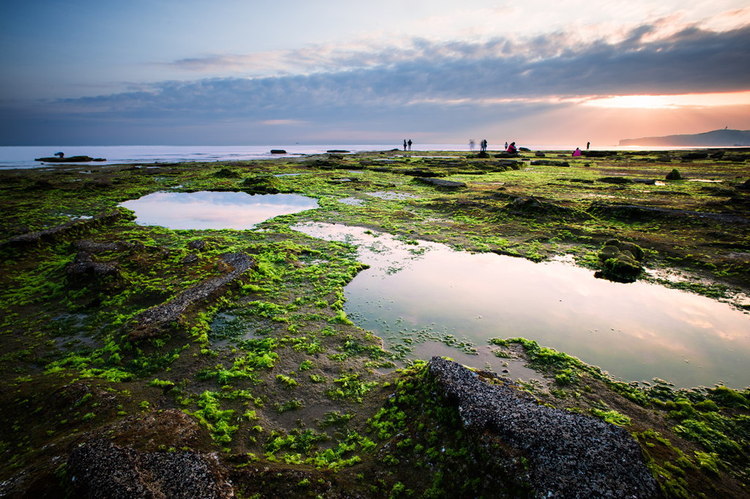 饥荒海滩火山资源被拿完了,怎么办-饥荒海滩 火
