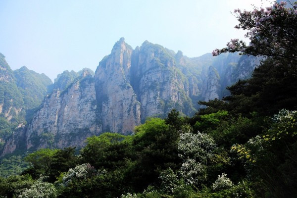 山西省运城永济市的沙土地种什么经济作物效益