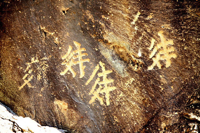 菏泽天华董事长刘涛