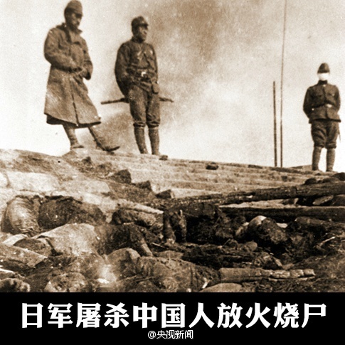 反法西斯战争死亡人口
