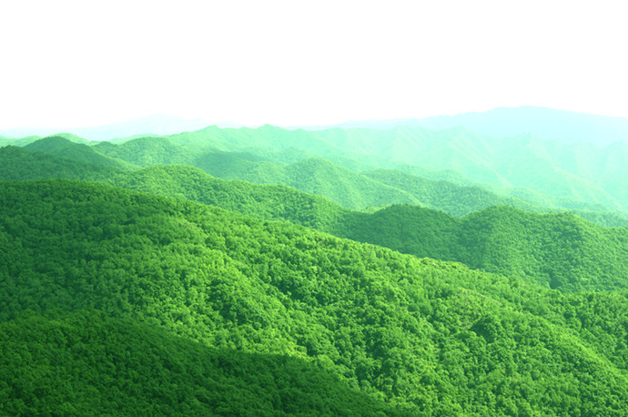 风山人口多少_博社村人口多少