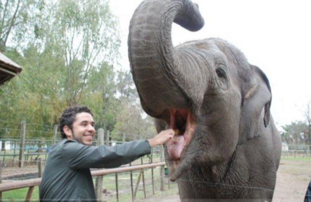 最可怕的动物园是哪个动物园 39335_1820546_320336.jpg