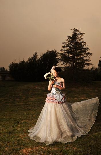 玫瑰婚纱照_深圳玫瑰海岸婚纱照(2)