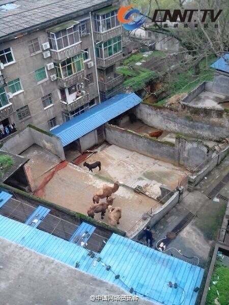 宜春市人口_宜春市人口和计划生育委员会来宜春学院指导工作(3)