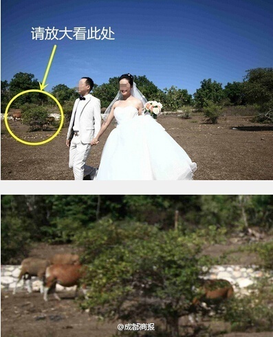 巴厘岛拍婚纱照费用_巴厘岛风景图片(3)