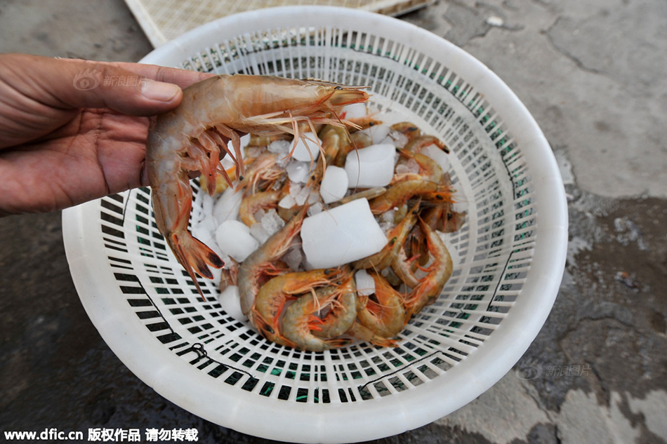 青岛小港海鲜_青岛海鲜美食图片大全_麻辣小海鲜大排档加盟(2)
