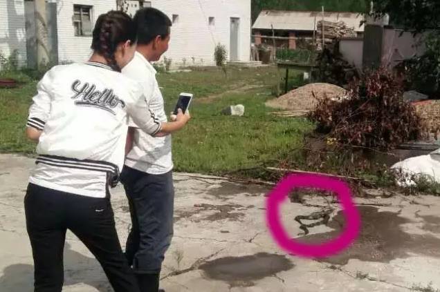 蛟河多少人口_蛟河一教师被评为 人民功勋艺术家 和 中国首批国学国艺代表传