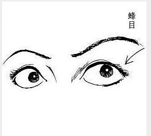 眼人口目_眼睛看相 三角眼的人运势怎么看