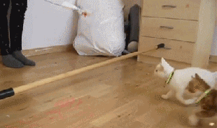 里贝里身价-万博·体育(ManBetX)官方网站_ManBetx