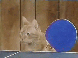 中超新赛季-乐鱼app(leyu)官方网站-乐鱼官网