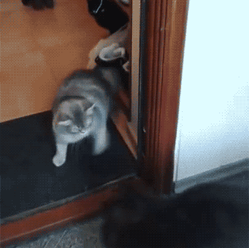 洛克文茨-乐鱼app(leyu)官方网站-乐鱼官网