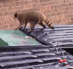 深圳红钻队-乐鱼app(leyu)官方网站-乐鱼官网