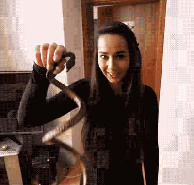 约什史密斯合同-乐鱼app(leyu)官方网站-乐鱼官网