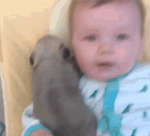 日本天皇杯-乐鱼app(leyu)官方网站-乐鱼官网