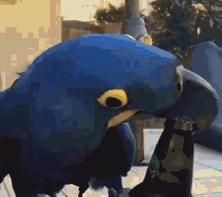 泰国斗鱼论坛-乐鱼app(leyu)官方网站-乐鱼官网