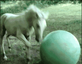 重庆娱乐频道直播-乐鱼app(leyu)官方网站-乐鱼官网