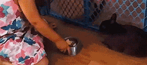 周大地-乐鱼app(leyu)官方网站-乐鱼官网