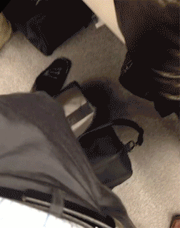 泰伦斯 罗斯-乐鱼app(leyu)官方网站-乐鱼官网