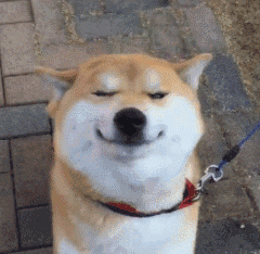 cctv12法制在线-乐鱼app(leyu)官方网站-乐鱼官网