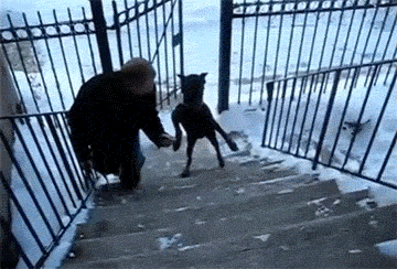 博拉鲁兹-乐鱼app(leyu)官方网站-乐鱼官网