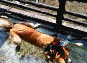 espnhd-乐鱼app(leyu)官方网站-乐鱼官网