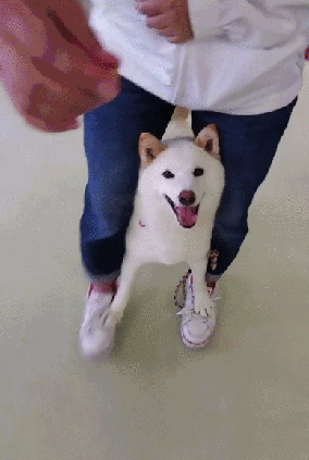 大阿尔滕托普-乐鱼app(leyu)官方网站-乐鱼官网