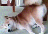 一举两得任务-乐鱼app(leyu)官方网站-乐鱼官网